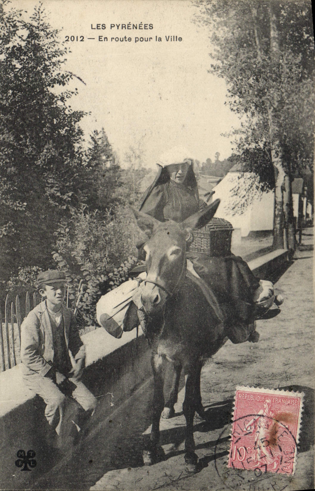 CPA Folklore Pyrenees En route pour la ville Ane Mule TOP