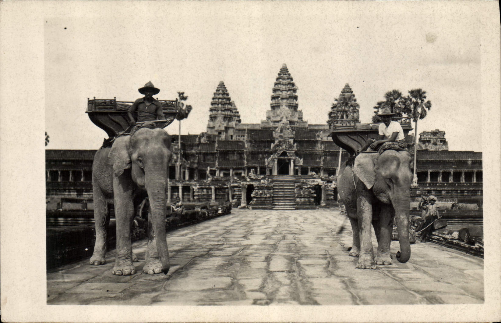 CPM Elephants Elephant