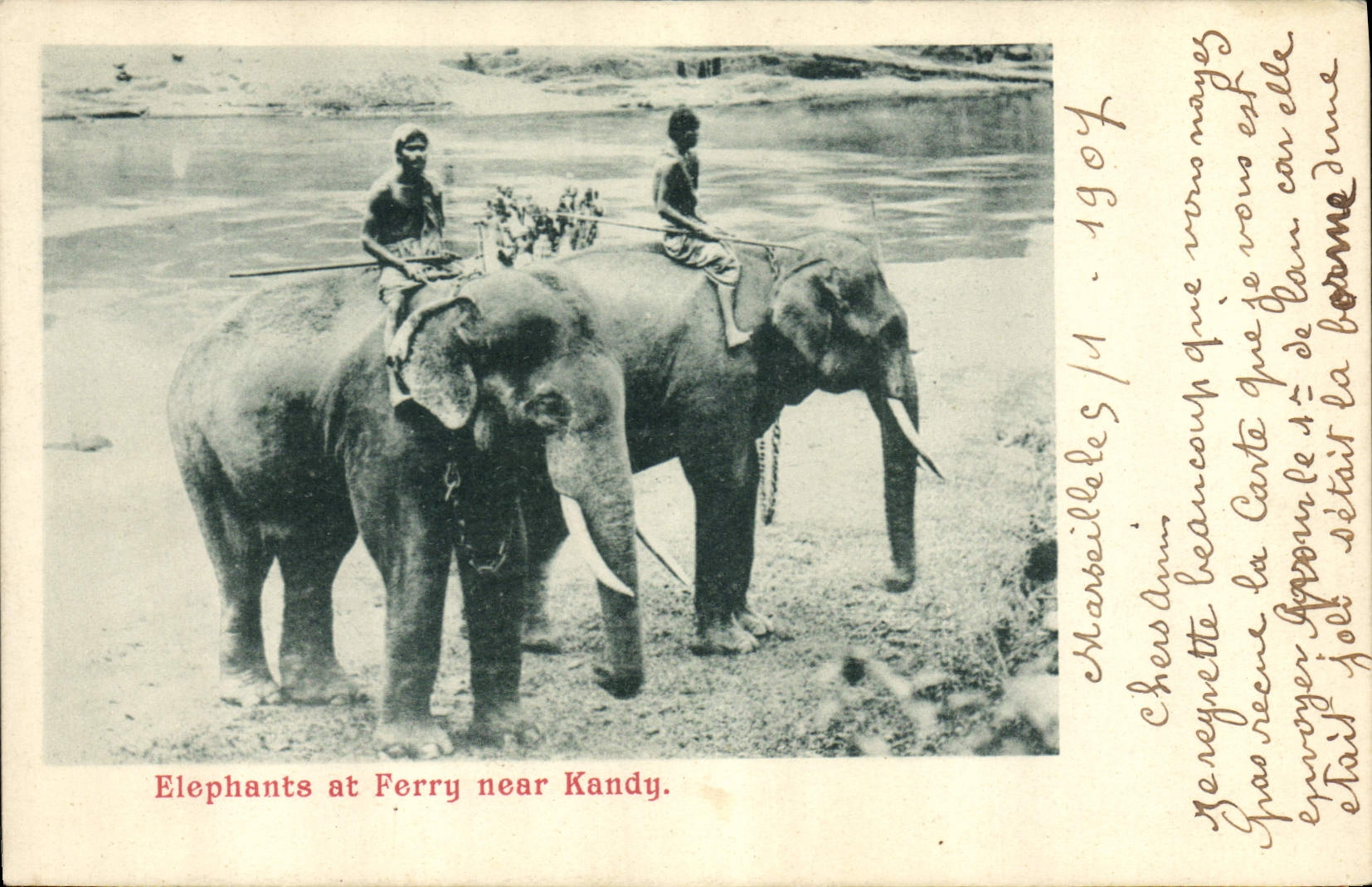 CPA Elephant Elephants at Ferry near Kandy