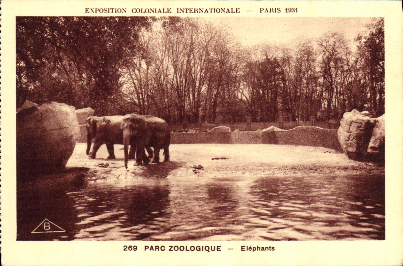 CPA Elephant Paris Exposition coloniale internationale Paris 1931 Elephants 