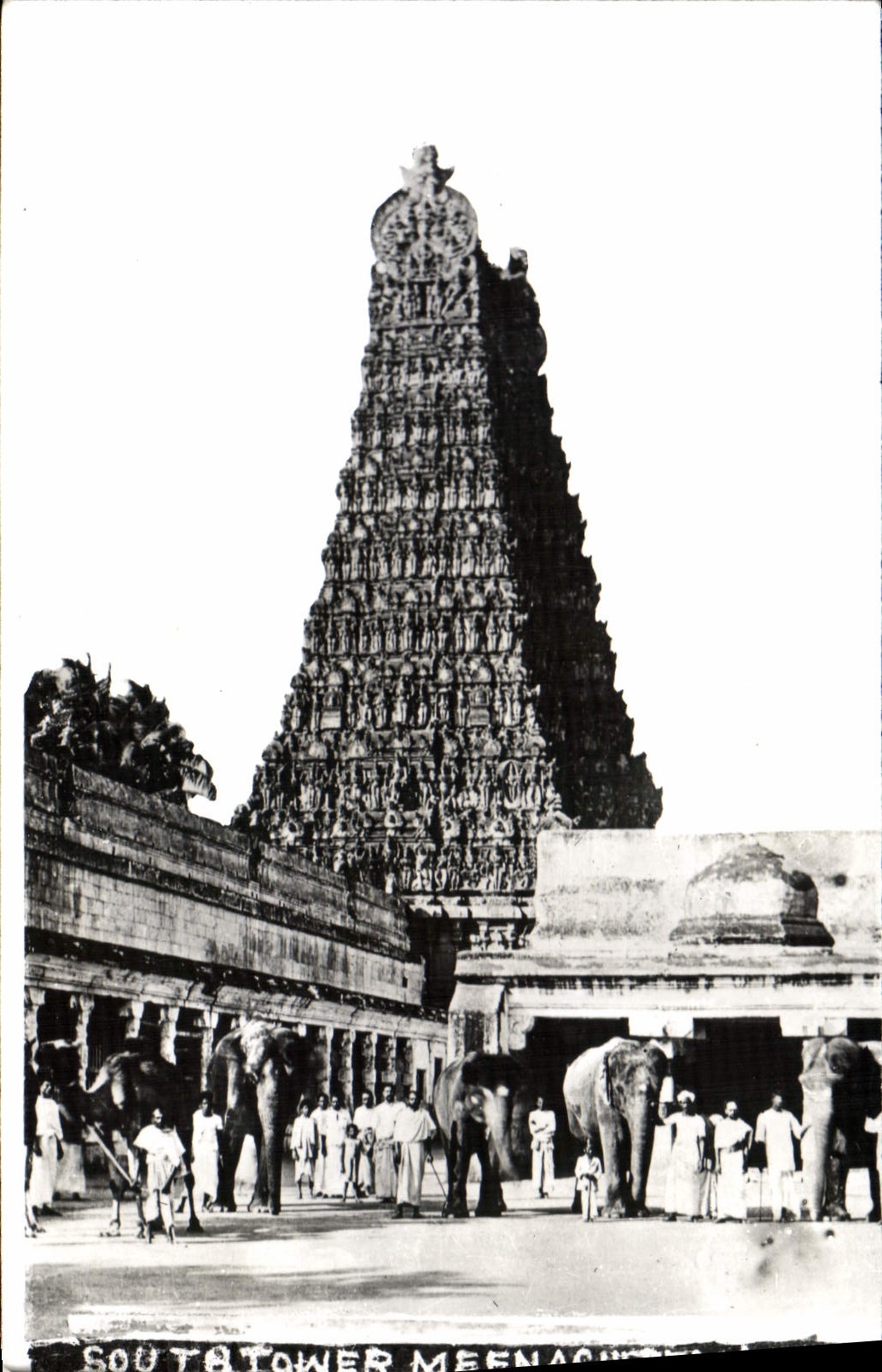 CPM Elephant South tower Meenachi Temple