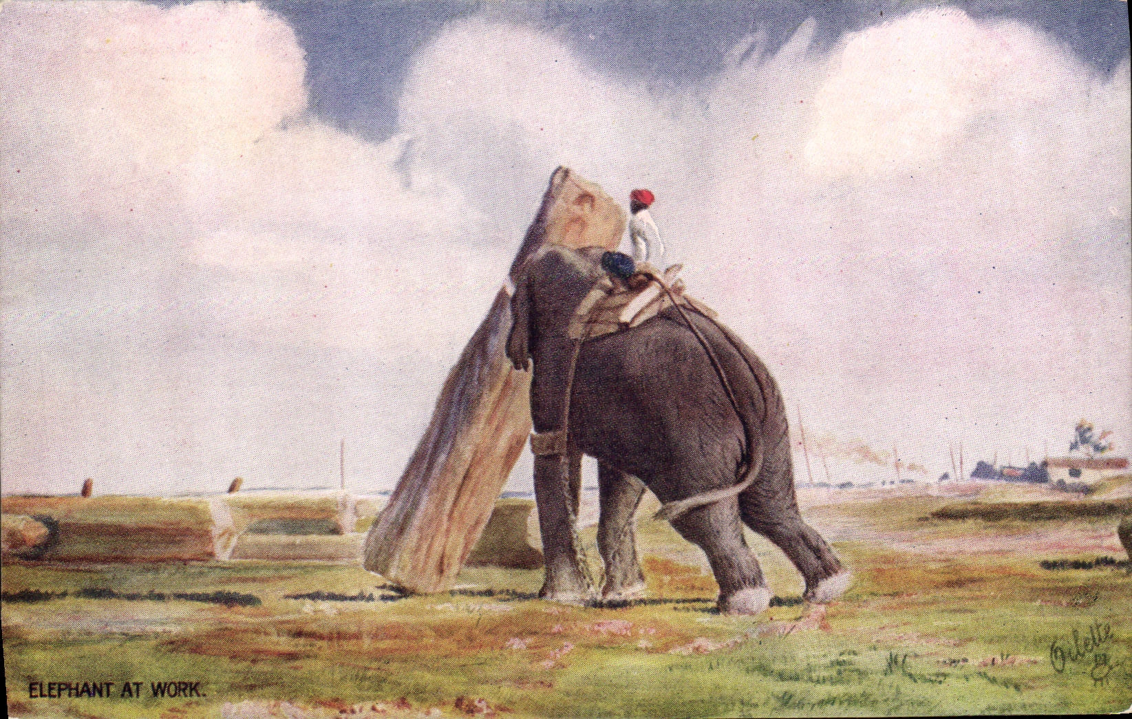 CPA Elephant at work 