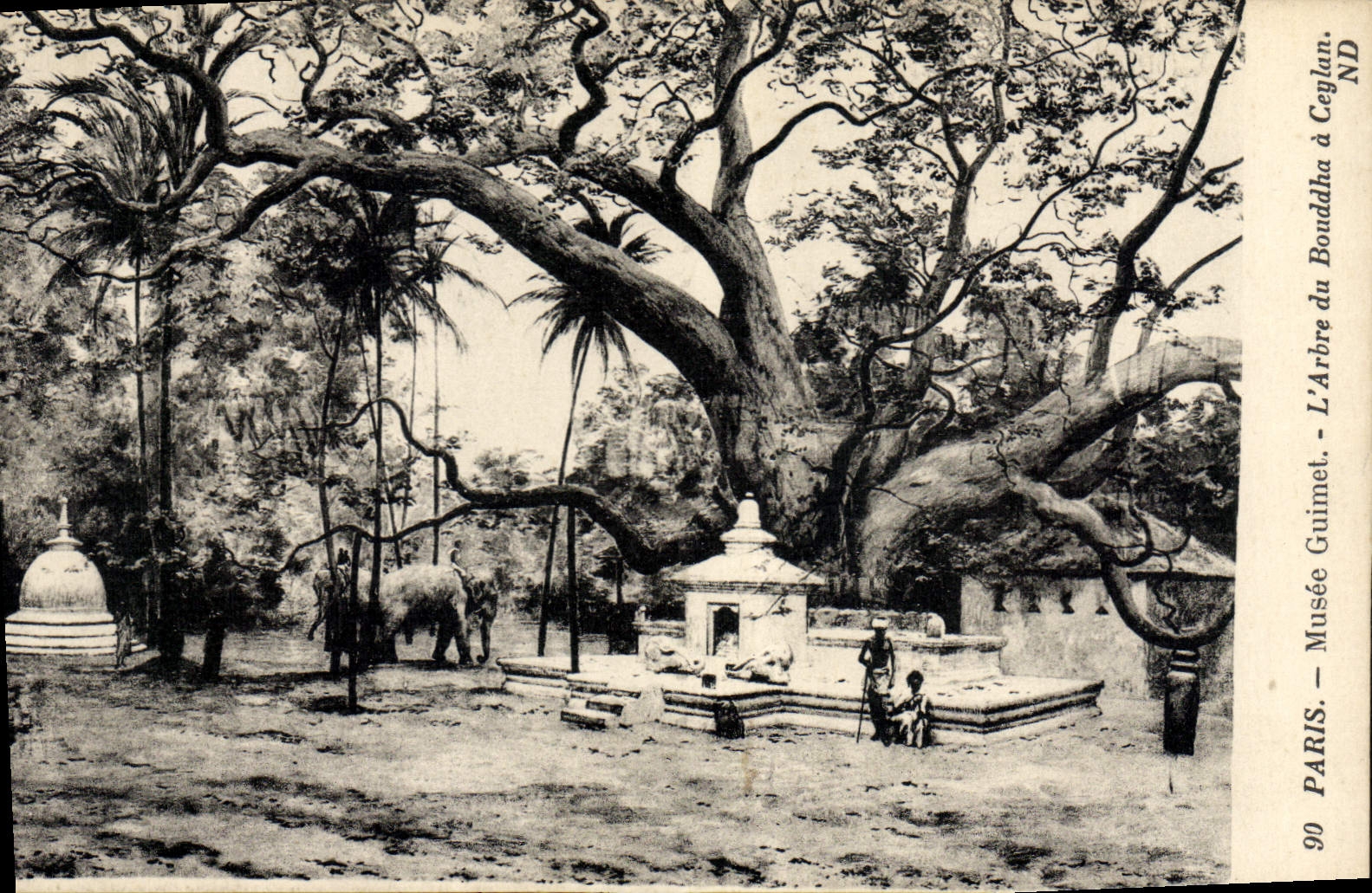 CPA Elephant Paris Musee Guimet L'arbre du Bouddha a Ceylan 