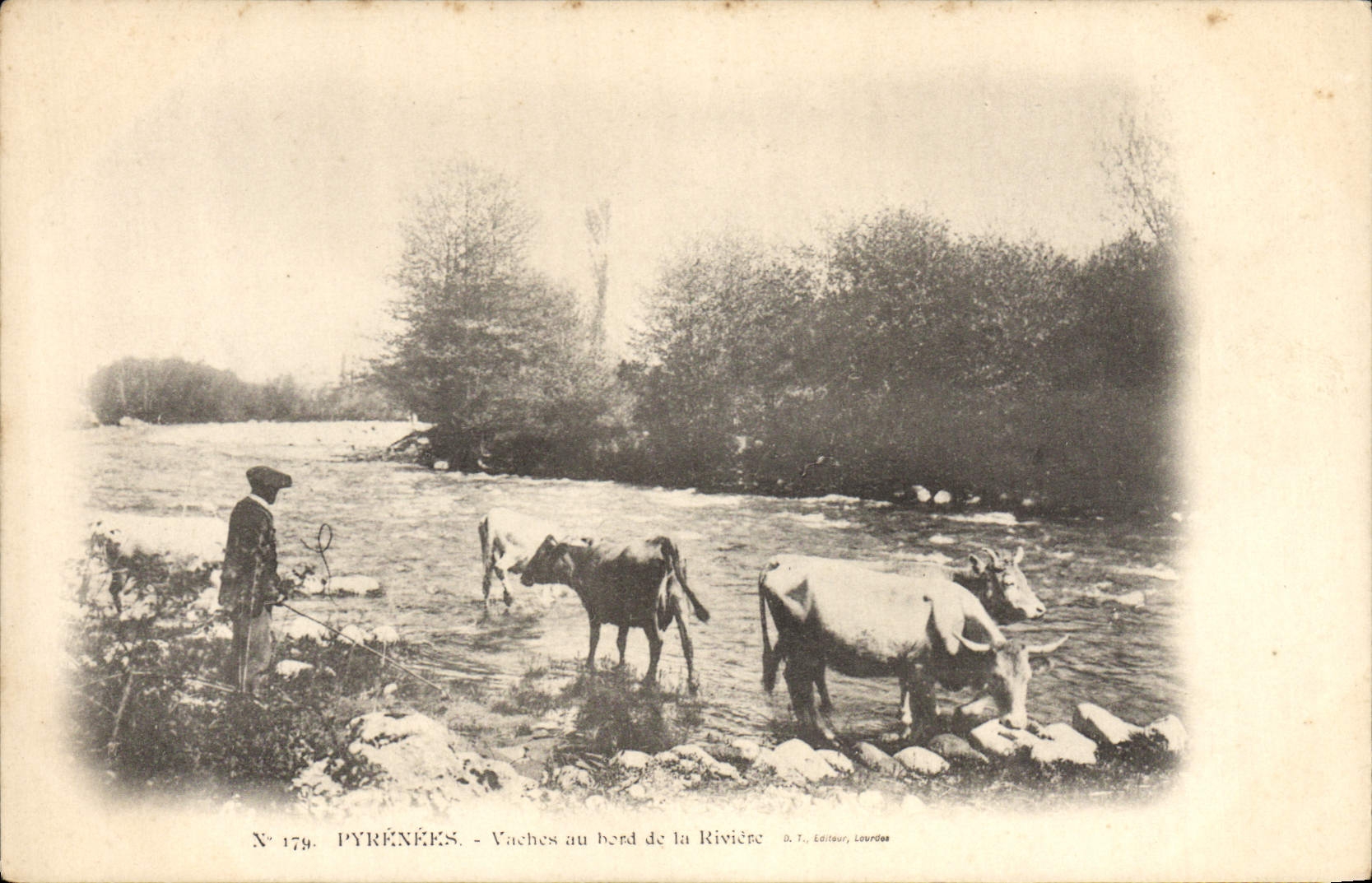 CPA Folklore Pyrenees Vaches au bord de la riviere
