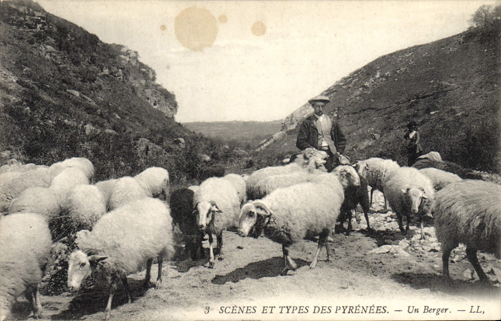 VINTAGE POSTCARD Pyrenees Folklore a shepherd Sheep