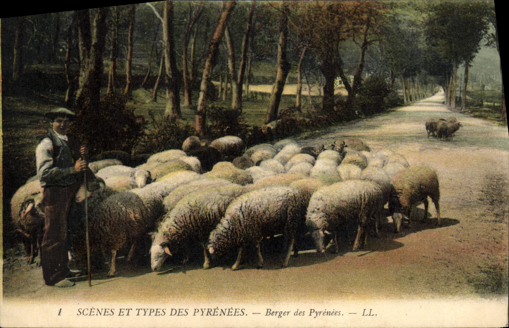 CPA Folklore Pyrenees Berger des Pyrenees Moutons 