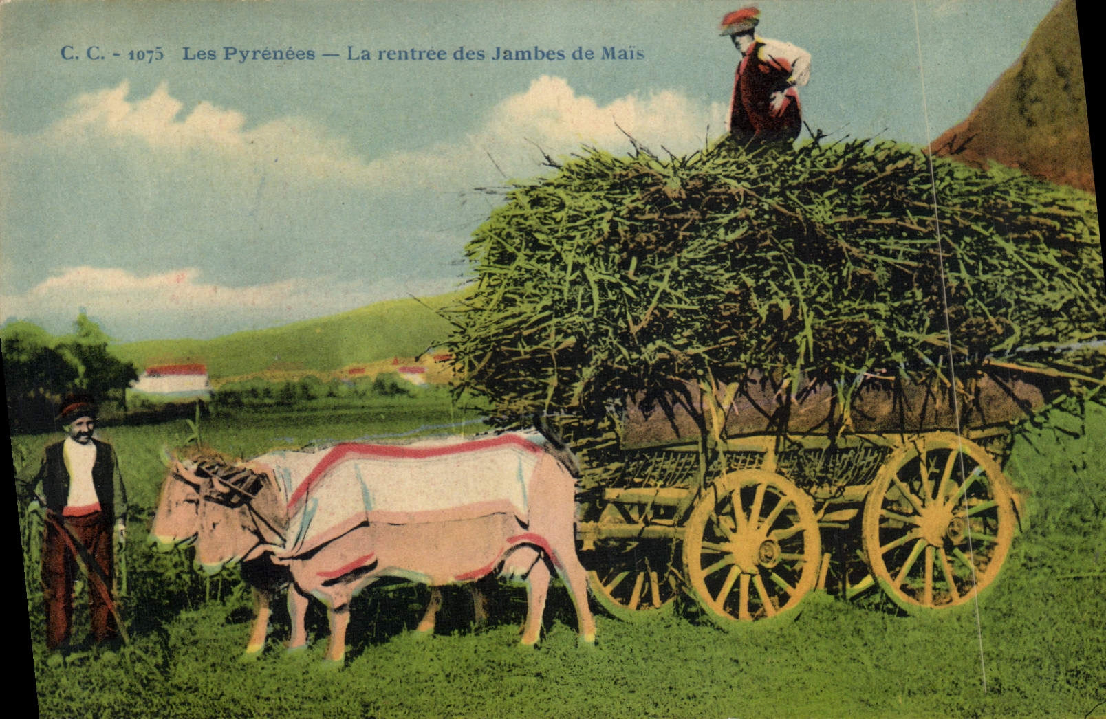 VINTAGE POSTCARD Pyrenees Folklore the re-entry of the legs of But Oxen Coach