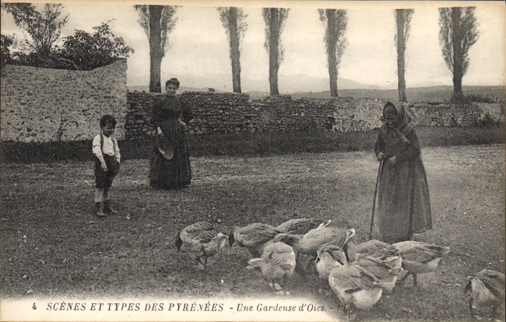 CPA Folklore Pyrenees Une gardeuse d'oies 