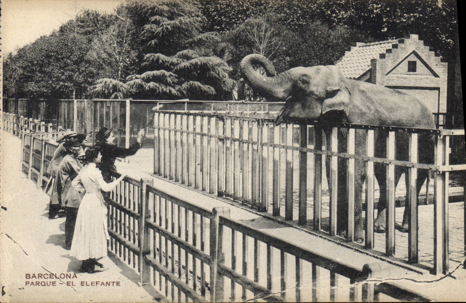 CPA Elephant Barcelona Parque El elefante 