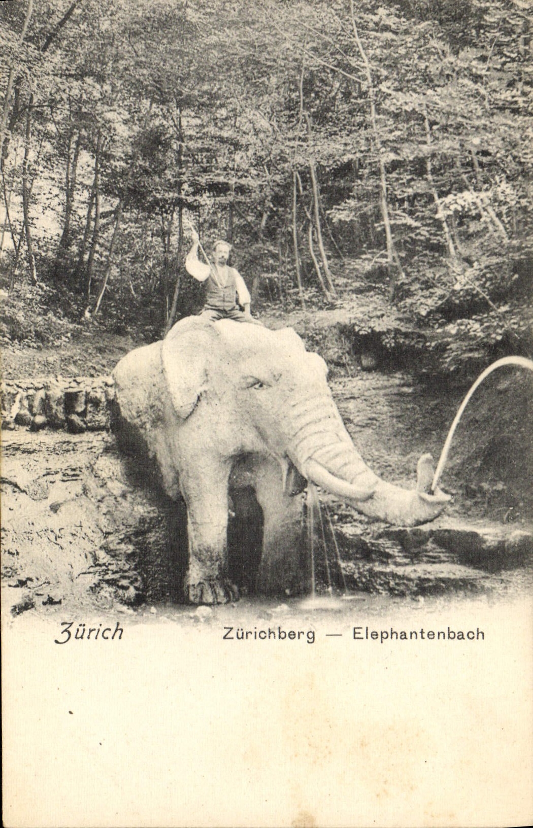 CPA Elephant Zurich 