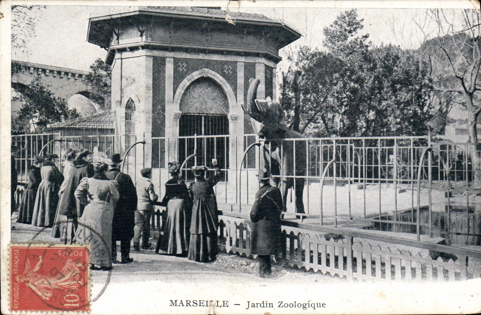 CPA Elephant Marseille Jardin zoologique Zoo