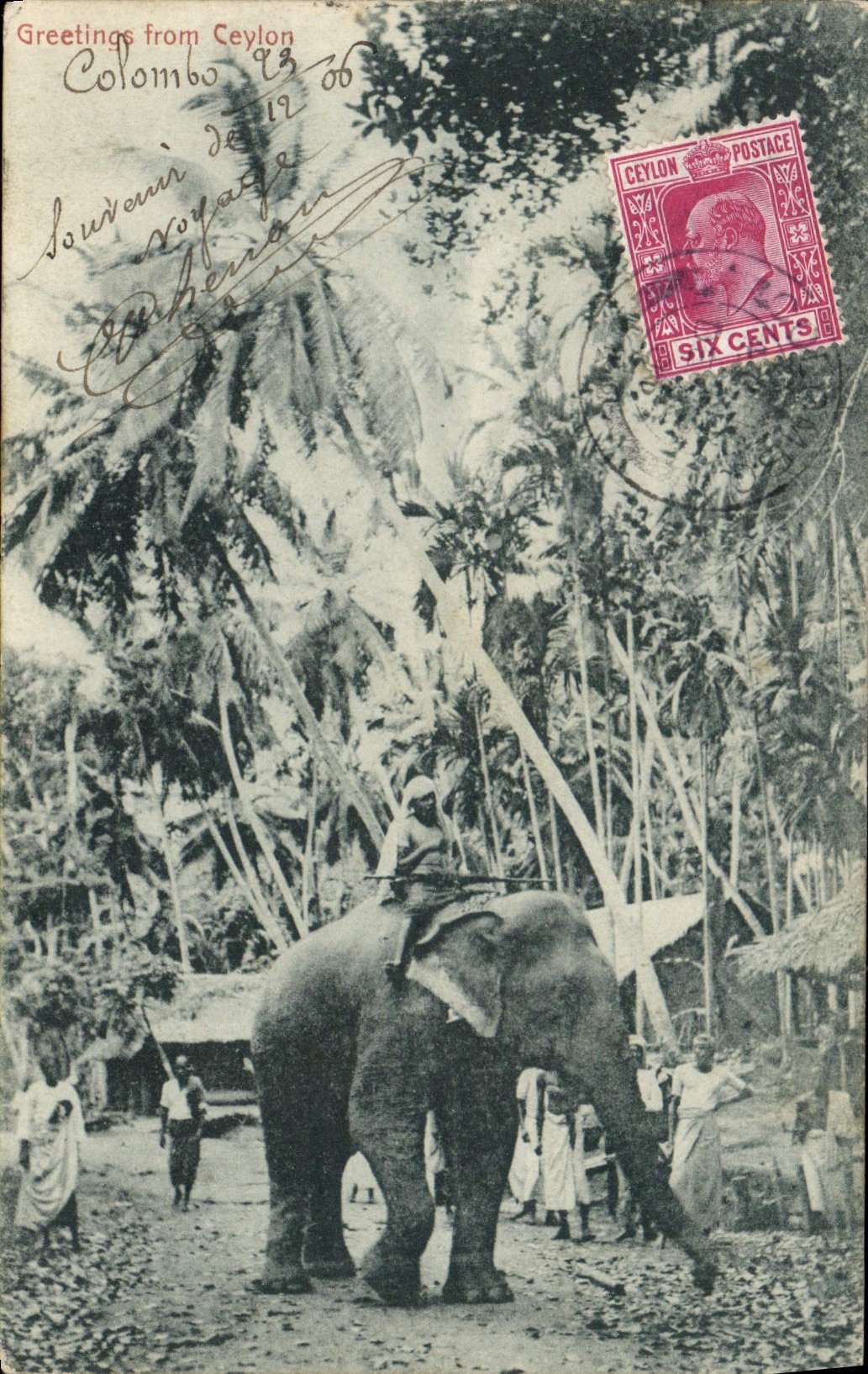 CPA Elephant Ceylon Sri Lanka