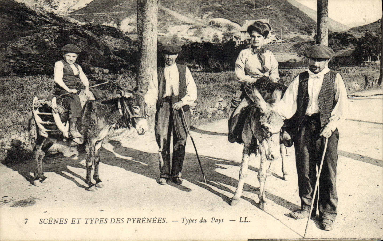 VINTAGE POSTCARD the Standard Pyrenees of the country Folklore Ass Mule