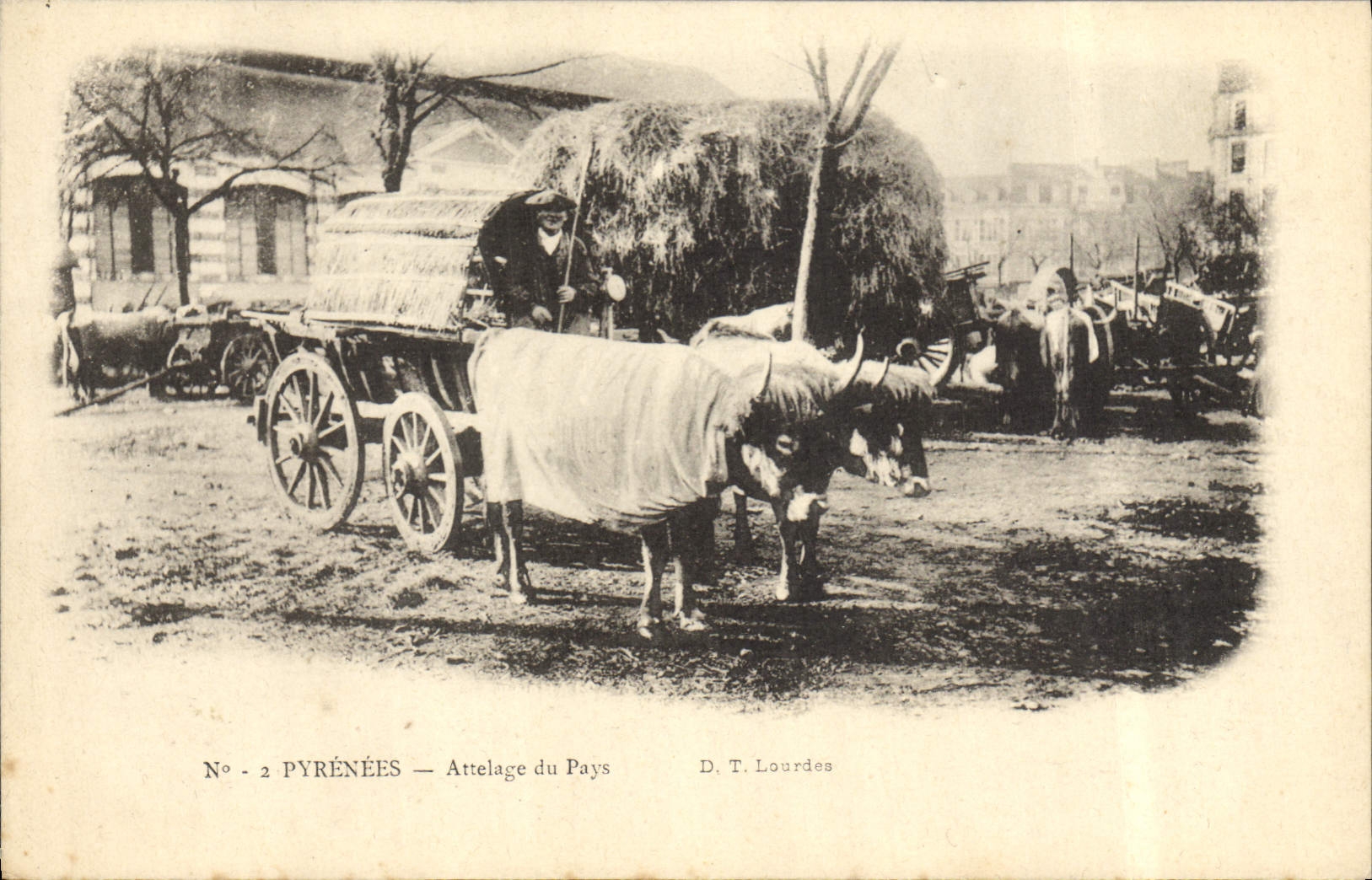 VINTAGE POSTCARD Coach of the country the Pyrenees Oxen