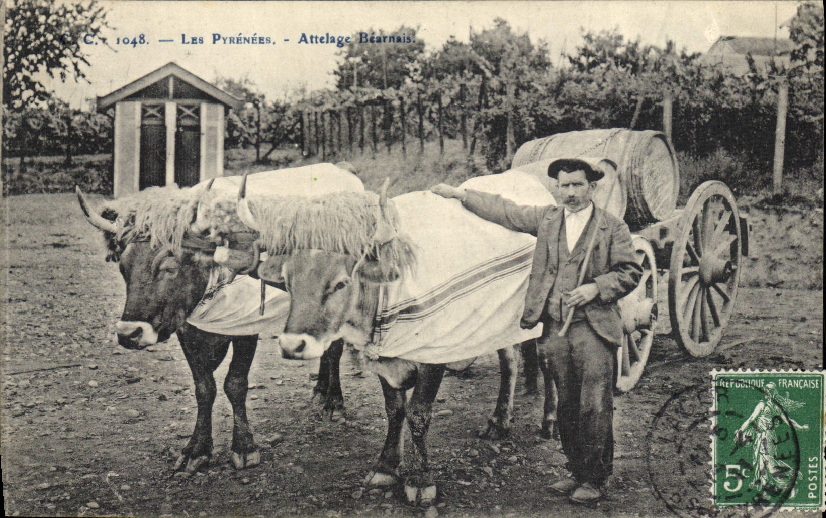CPA Attelage Bearnais Pyrenees Boeufs