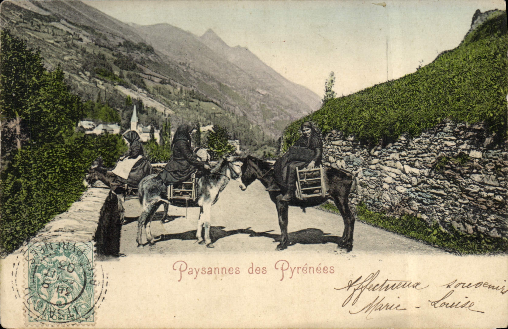 CPA Paysannes des Pyrenees Ane Mule 