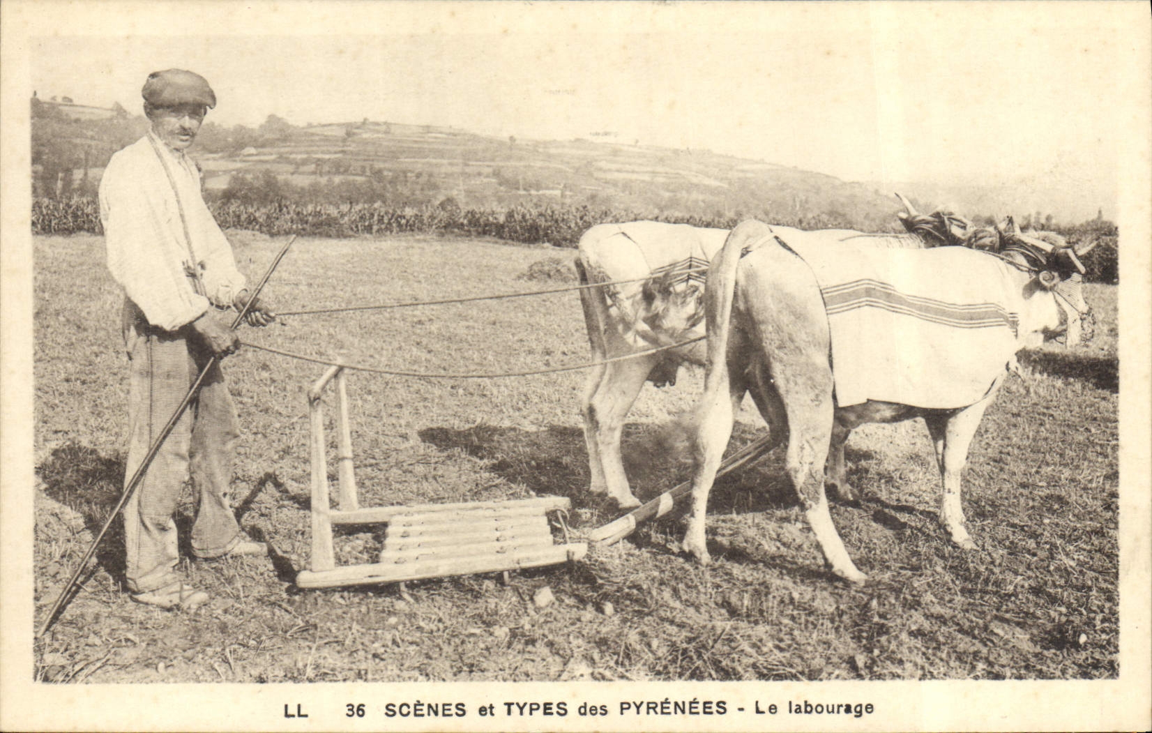 VINTAGE POSTCARD Pyrenees Coach tilling