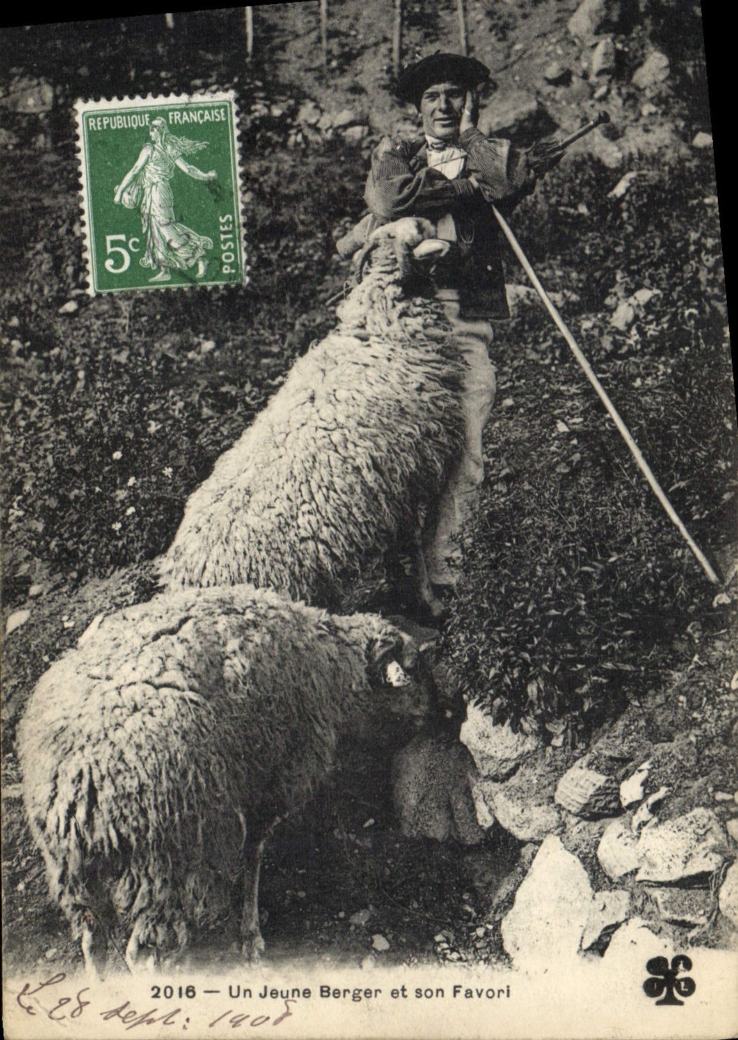 CPA Pyrenees Un jeune berger et son favori Moutons