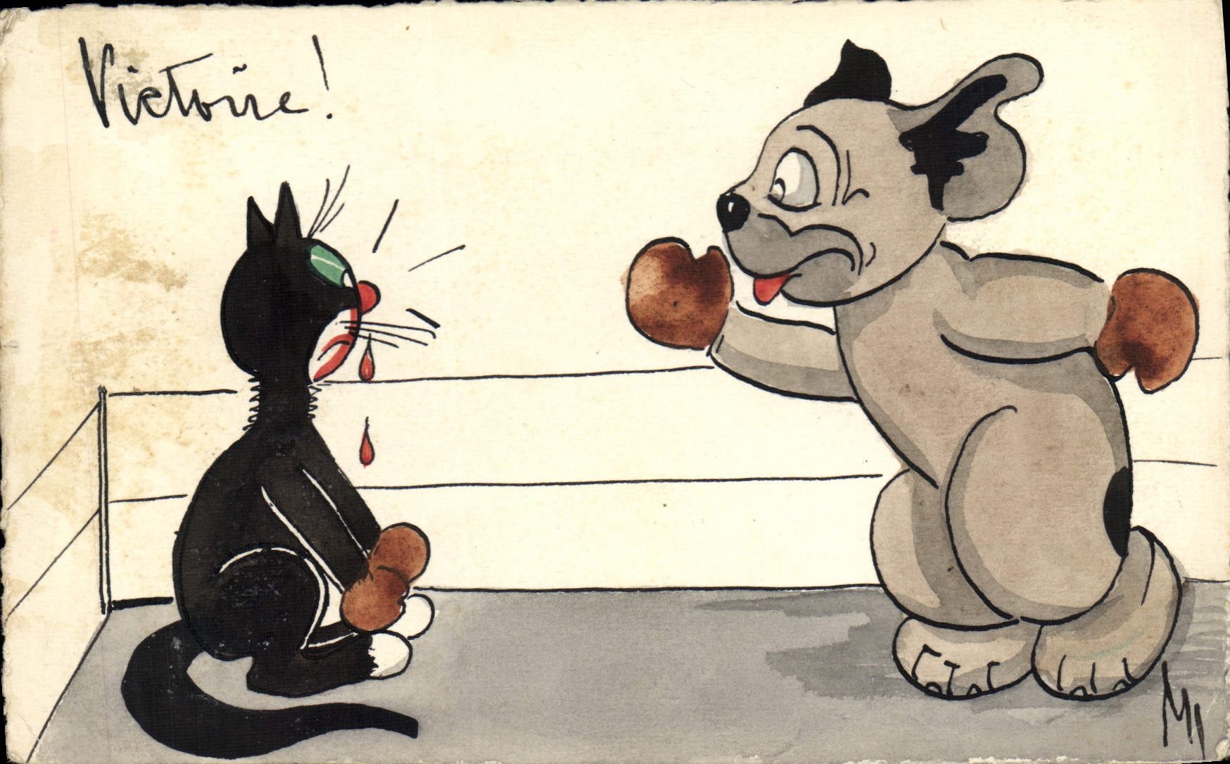 CPA Boxe Chat Chien