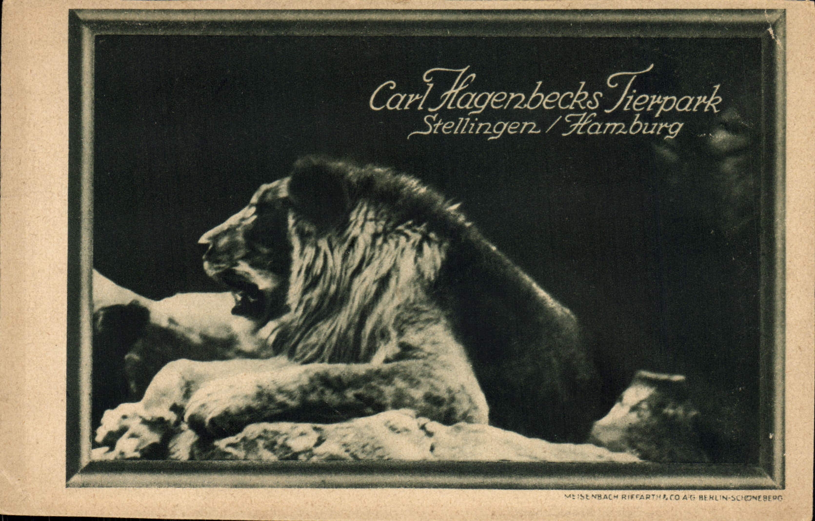 CPA Carl Hangenbecks Tierpark Stellingen Hamburg