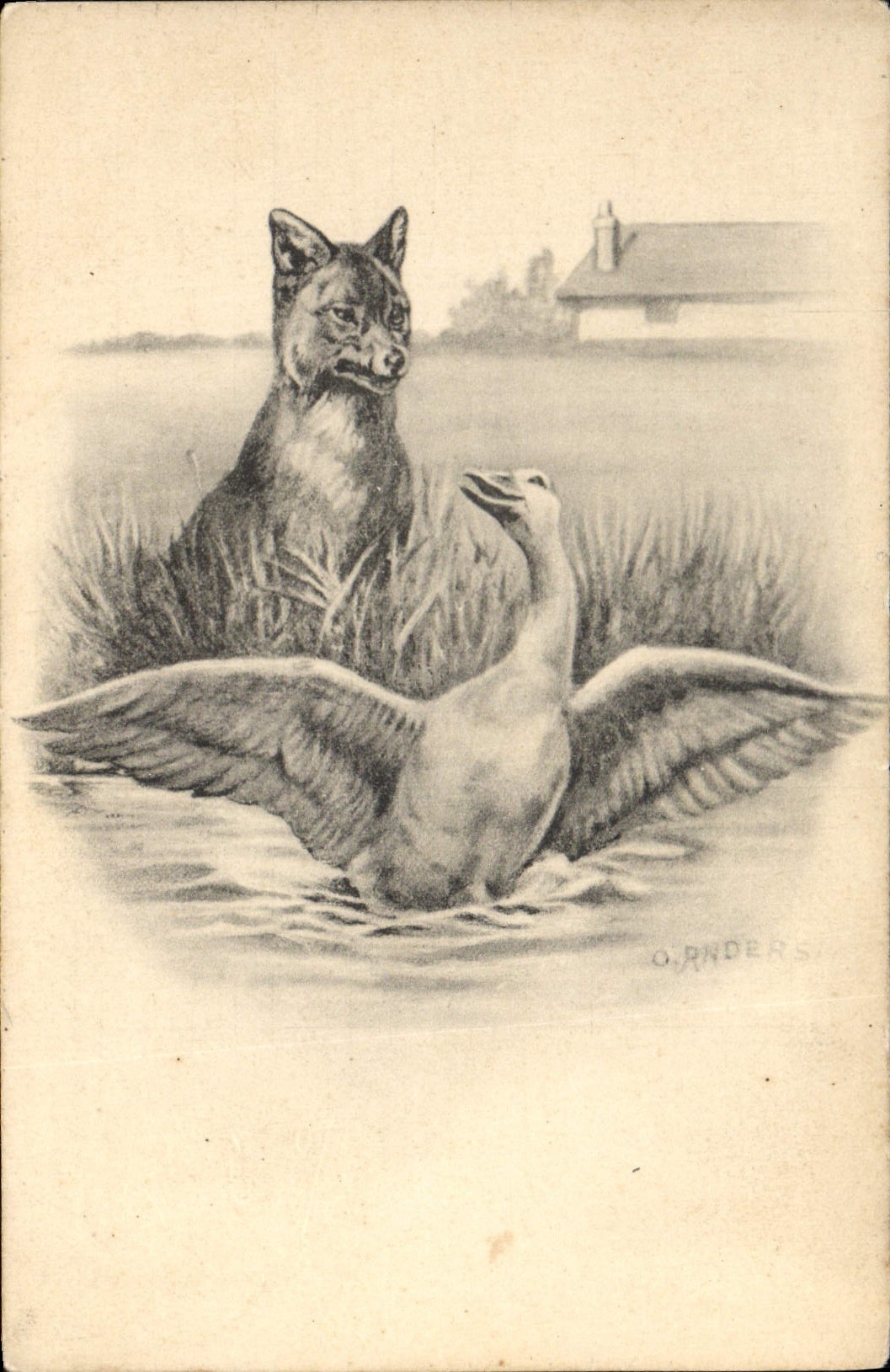 VINTAGE POSTCARD Illustrator Fox goose