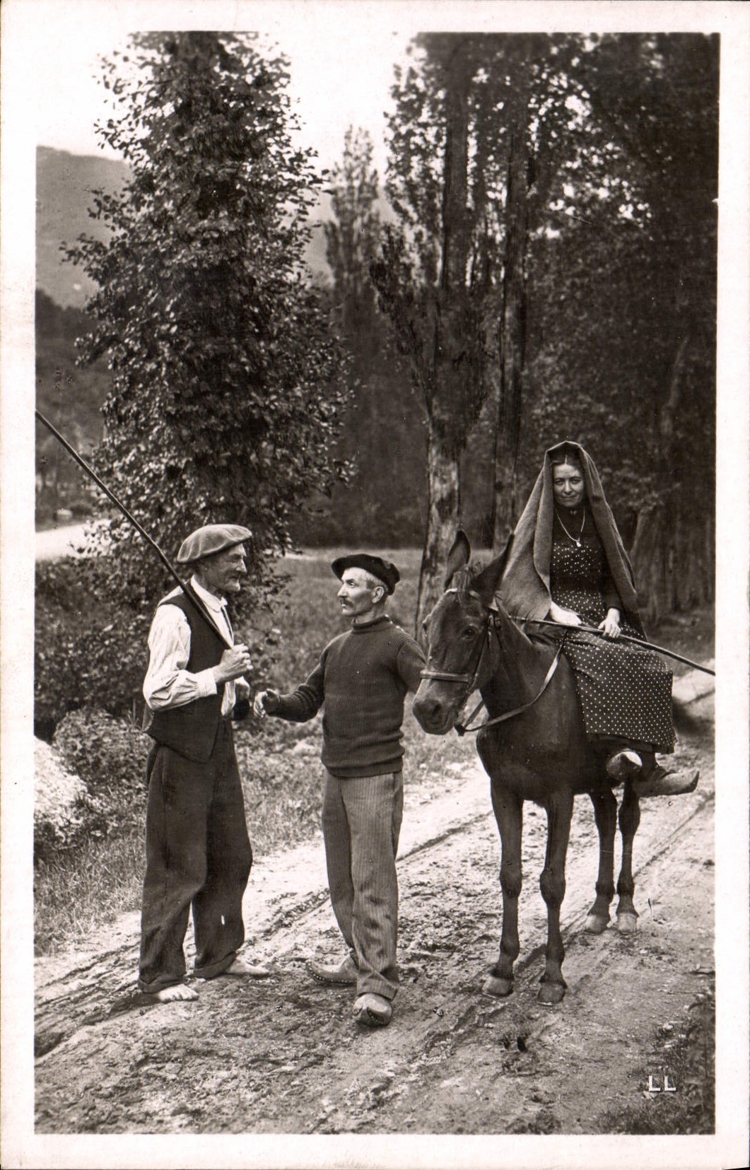 CPA Folklore Paysans des Pyrenees Mule
