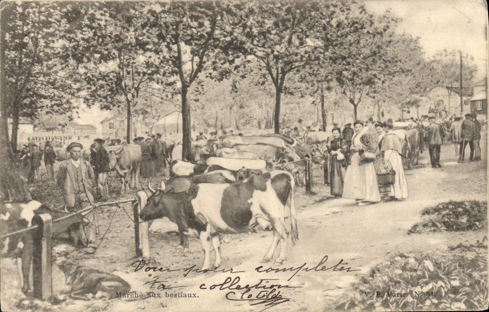 CPA Marche aux bestiaux Vaches