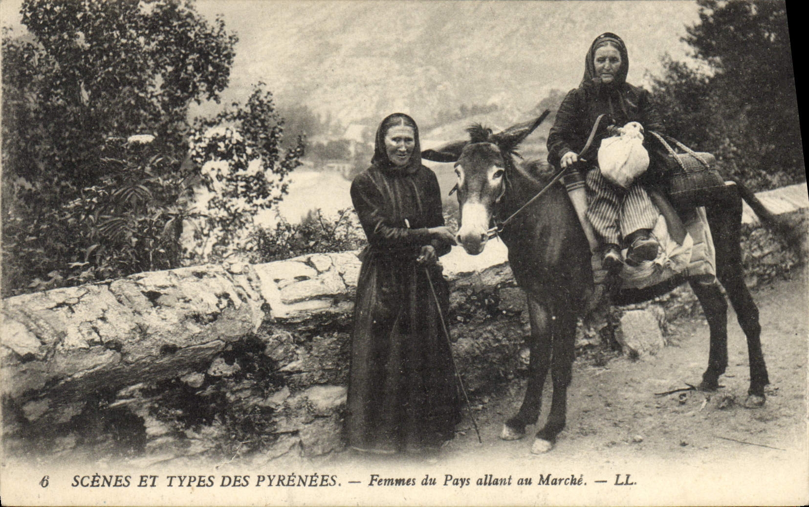 CPA Folklore Pyrenees Femmes allant au marche Ane Mule 
