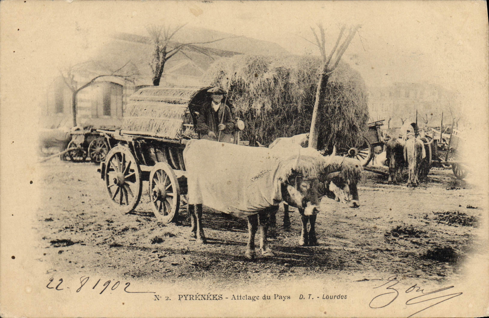 Folklore de la POSTAL de la VENDIMIA el coche de Pyrenees de los bueyes del país