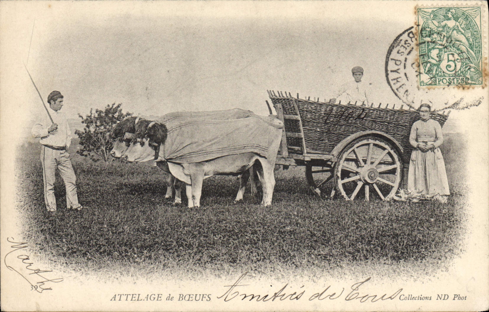 CPA Folklore Attelage de boeufs 