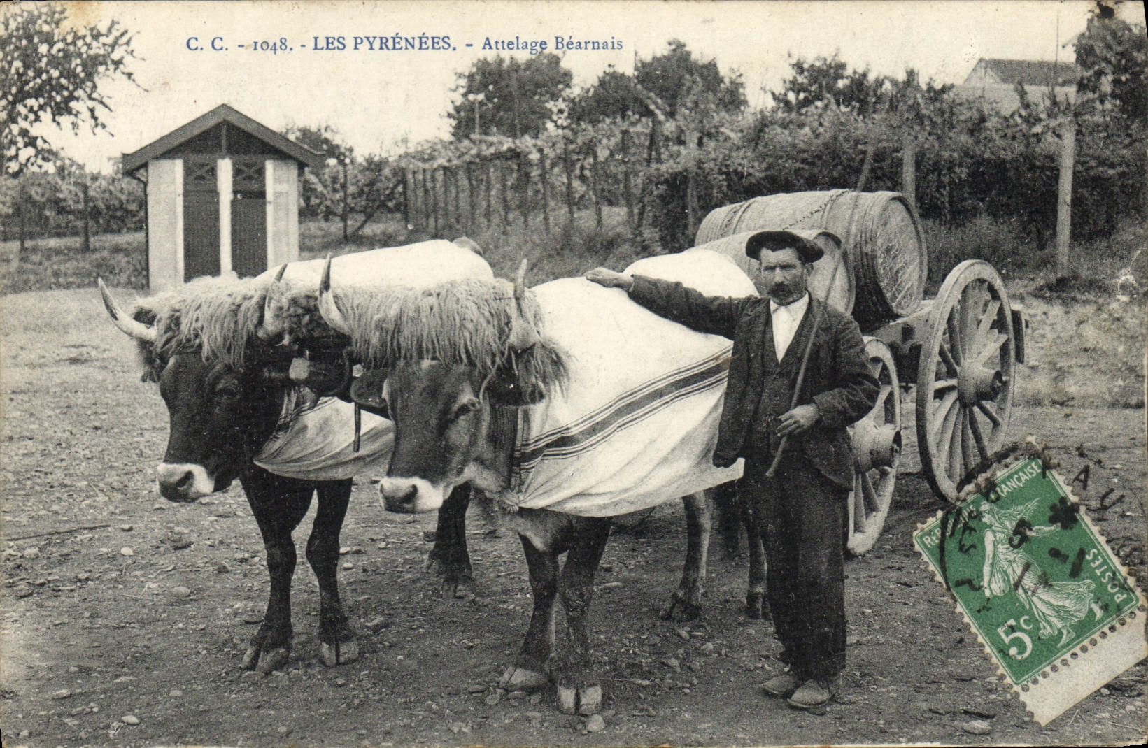 El folklore de la POSTAL de la VENDIMIA los Pyrenees entrena a habitante de Beoufs de Béarn