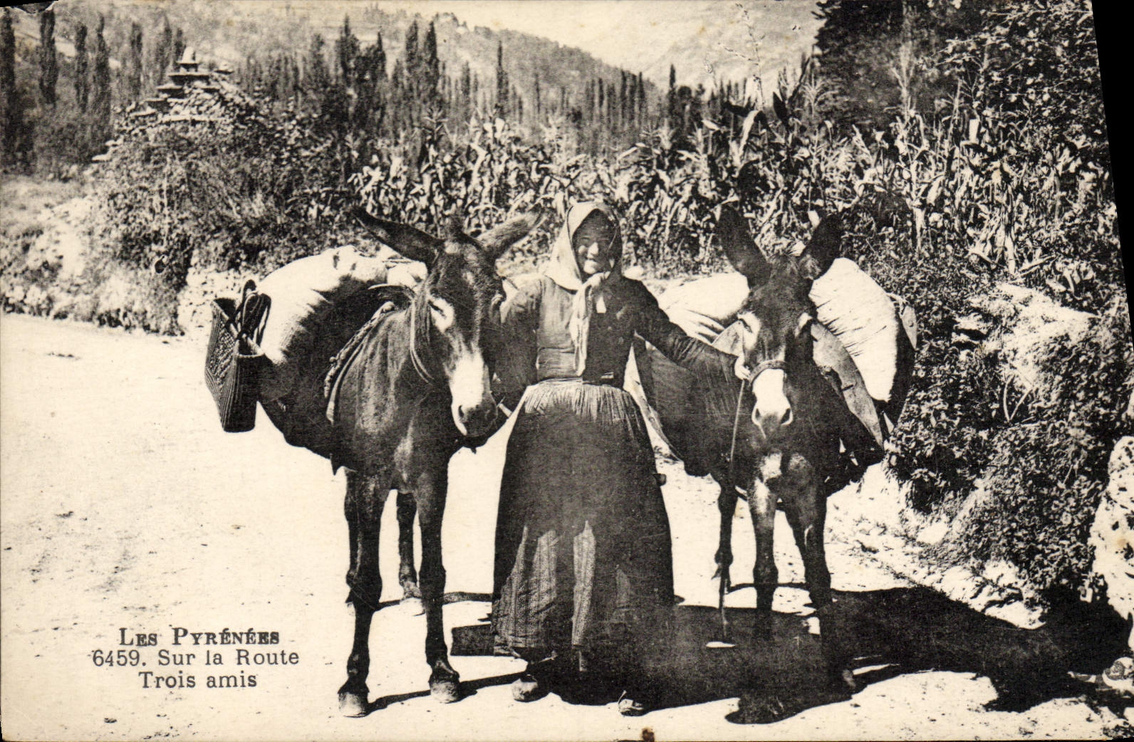 VINTAGE POSTCARD Folklore On the road Three friends Ass mule
