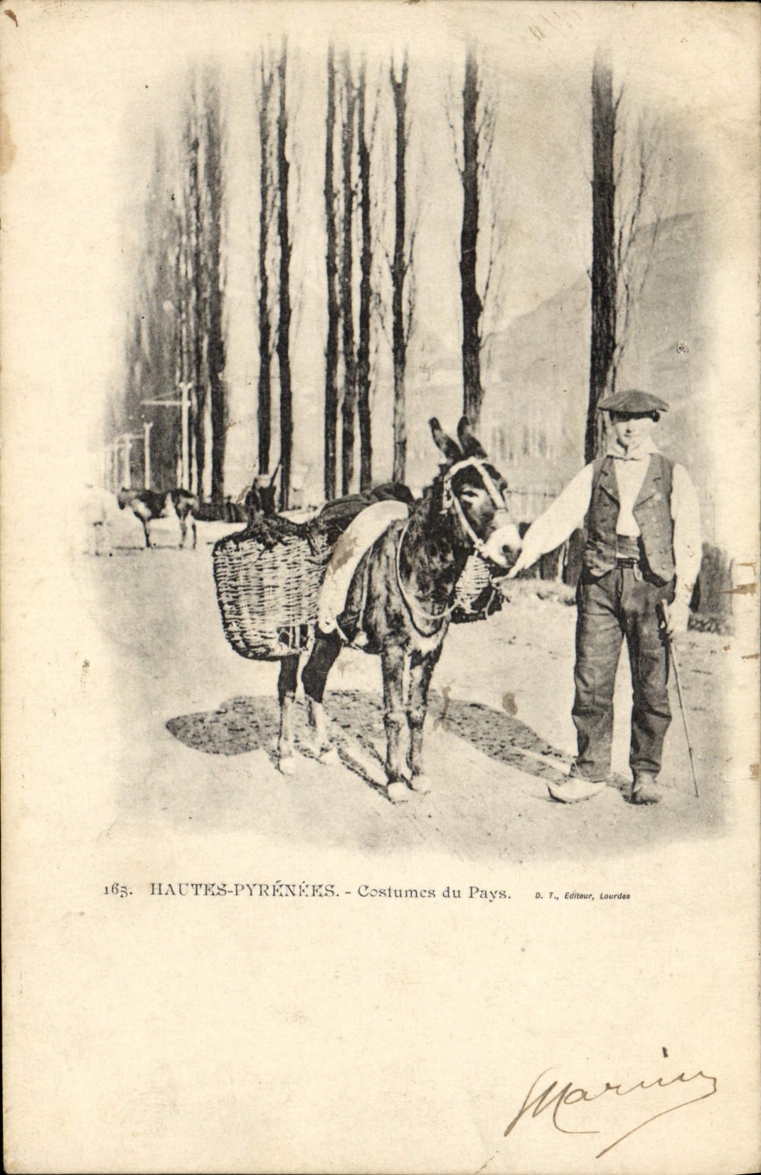 CPA Folklore Hautes Pyrenees Costumes du pays Ane Mule 
