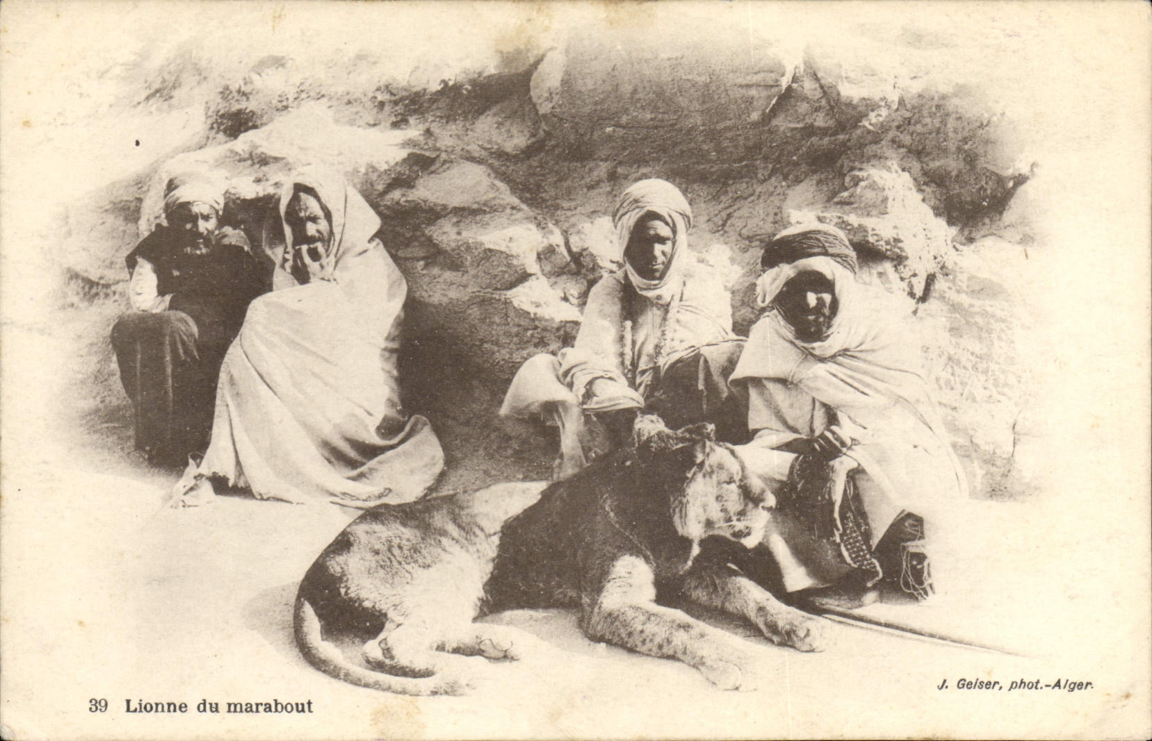 CPA Lionne du marabout lion 