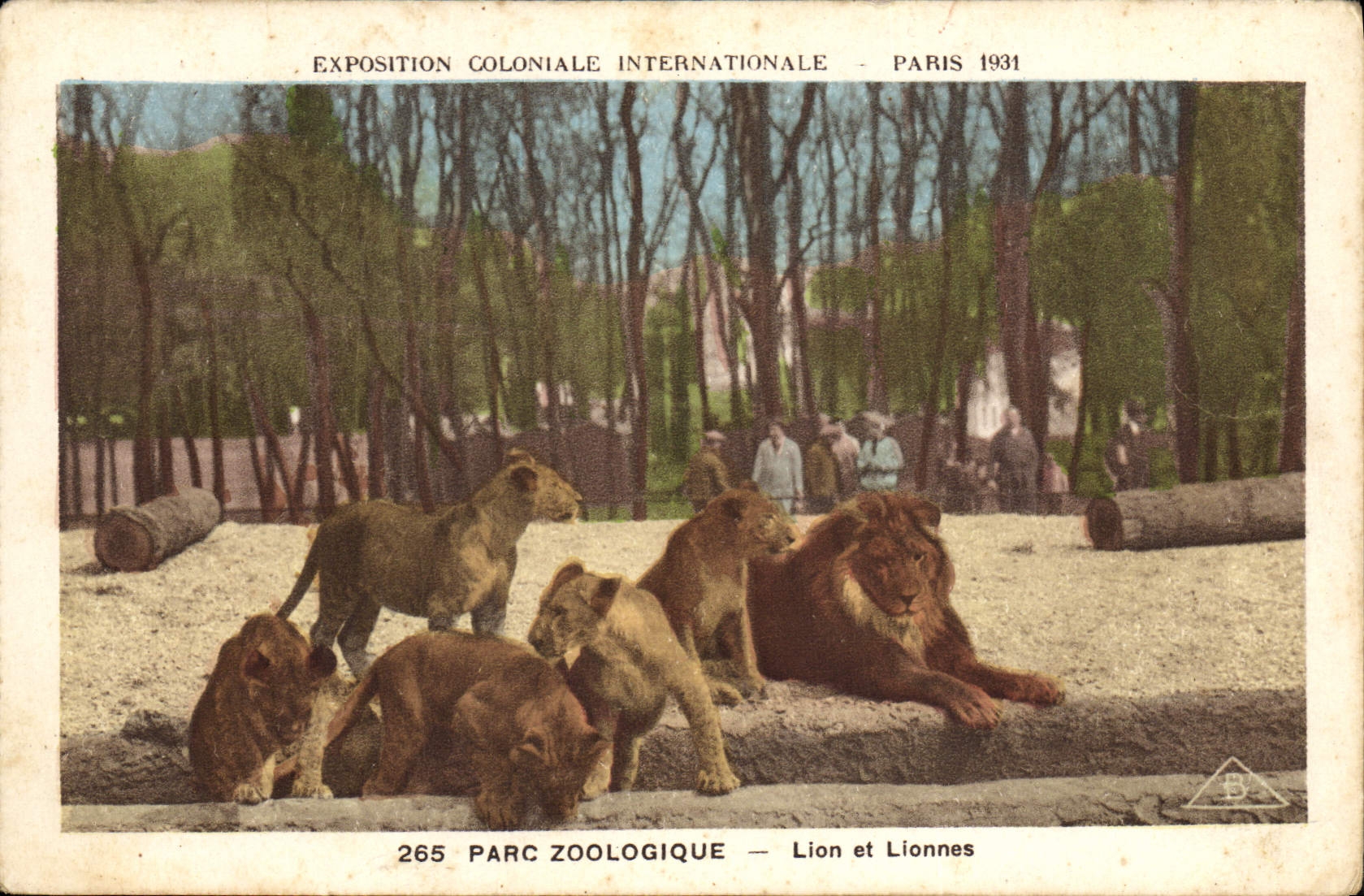 CPA Lion et lionnes Parc zoologique Exposition coloniale internationale Paris 1931