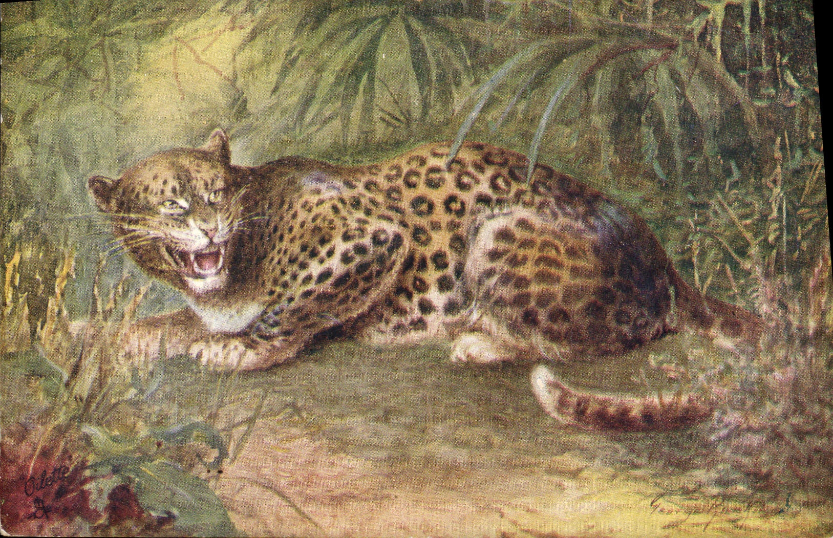 CPA Leopard