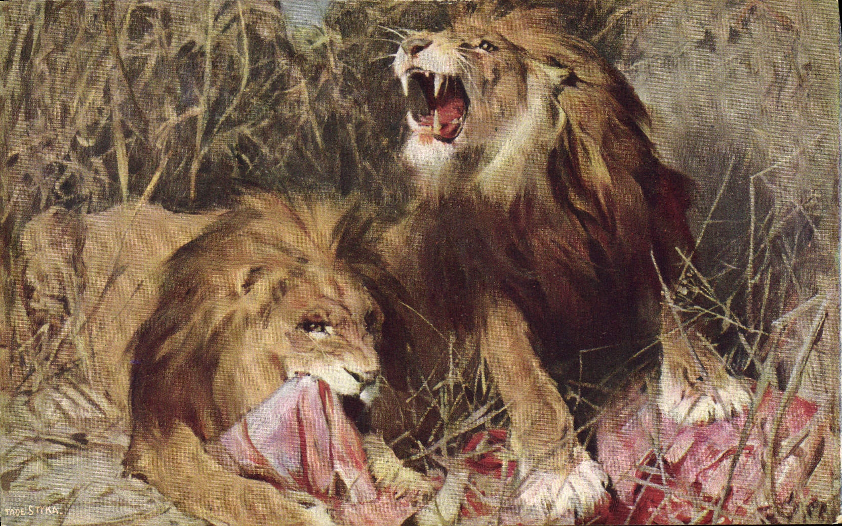 CPA Lion Repos dans le desert Tade Styka 