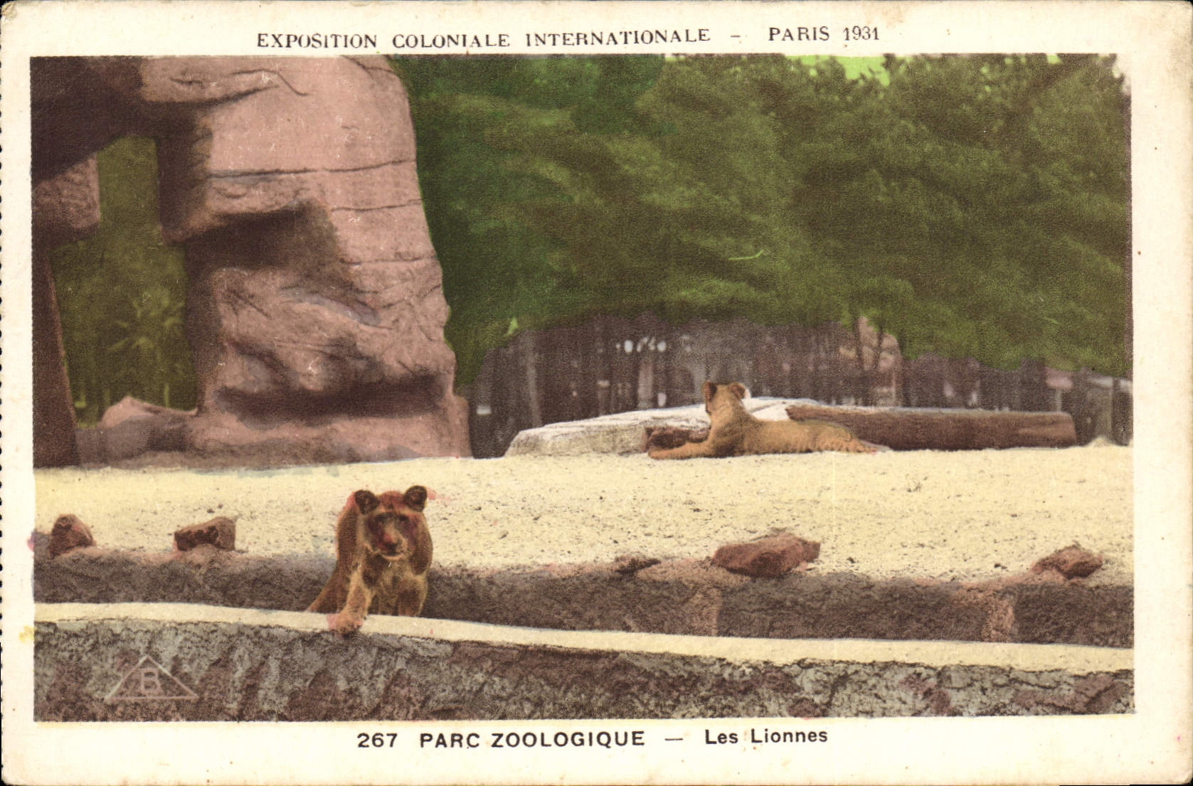 CPA Lionnes Exposition coloniale internationale Paris 1931 Zoo