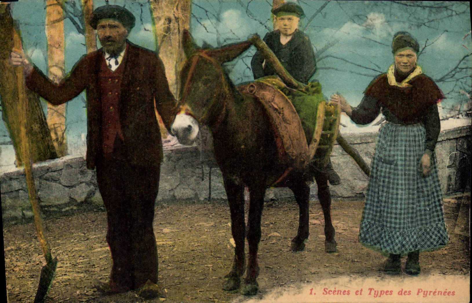VINTAGE POSTCARD the Pyrenees Ass