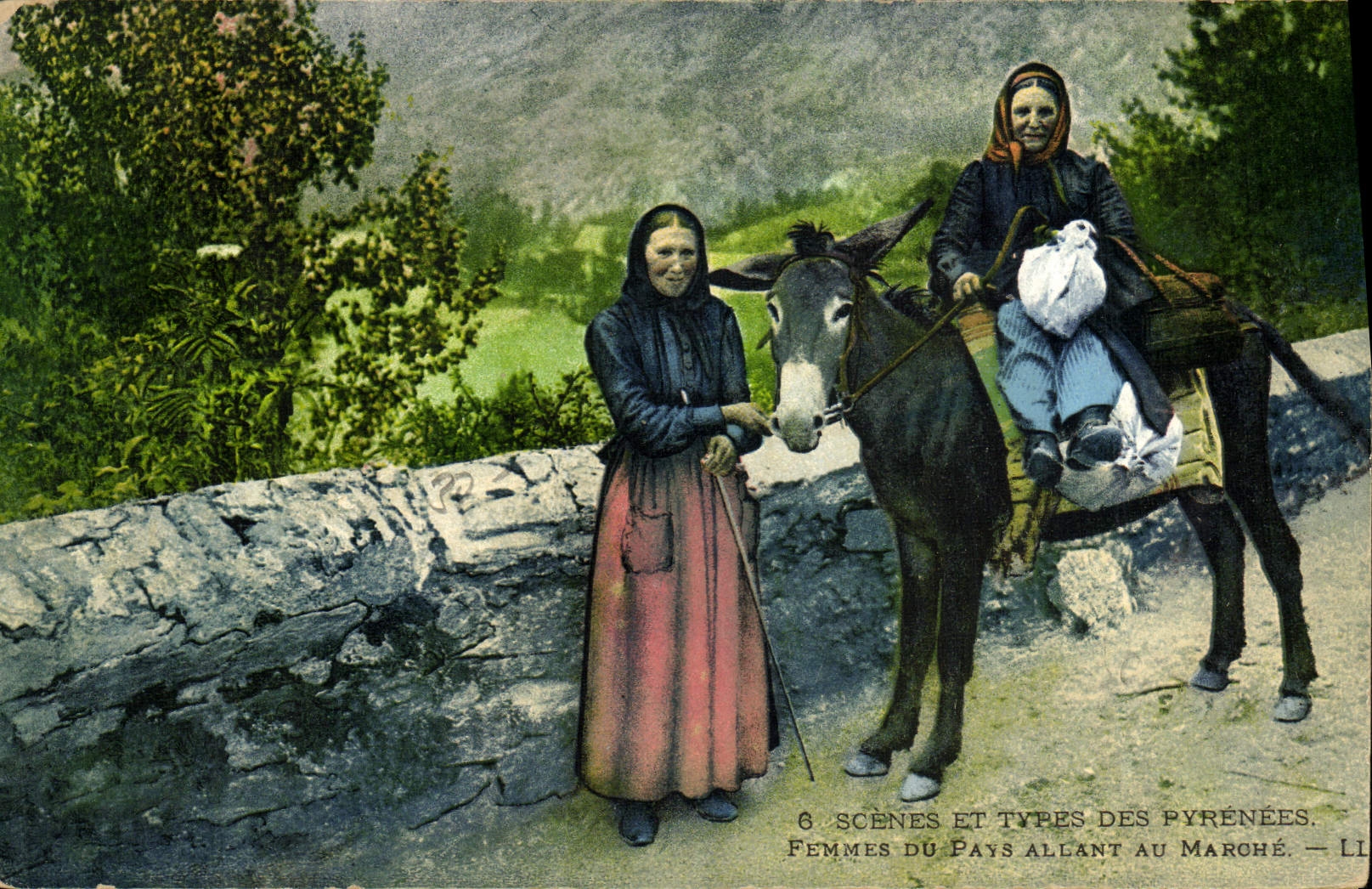 POSTAL de la VENDIMIA las mujeres del asno de Pyrenees del país activo en el folklore del mercado