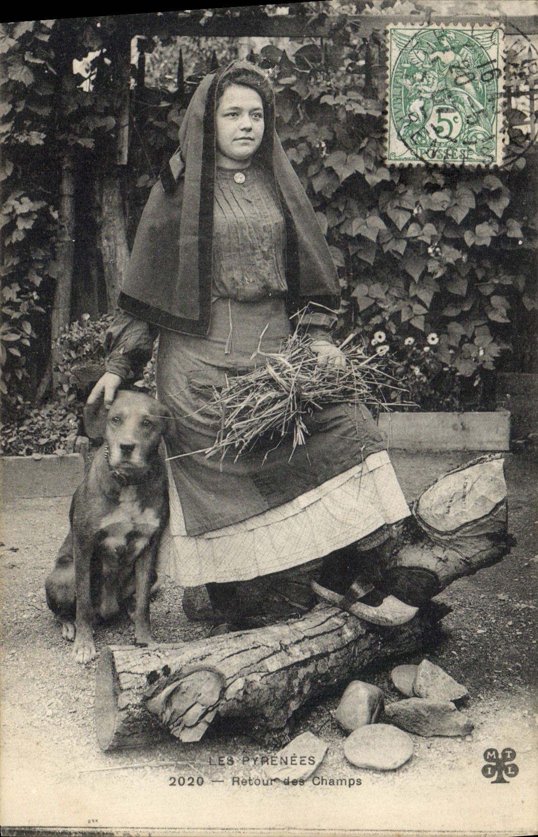 CPA Pyrenees Retour des champs Femme Chien