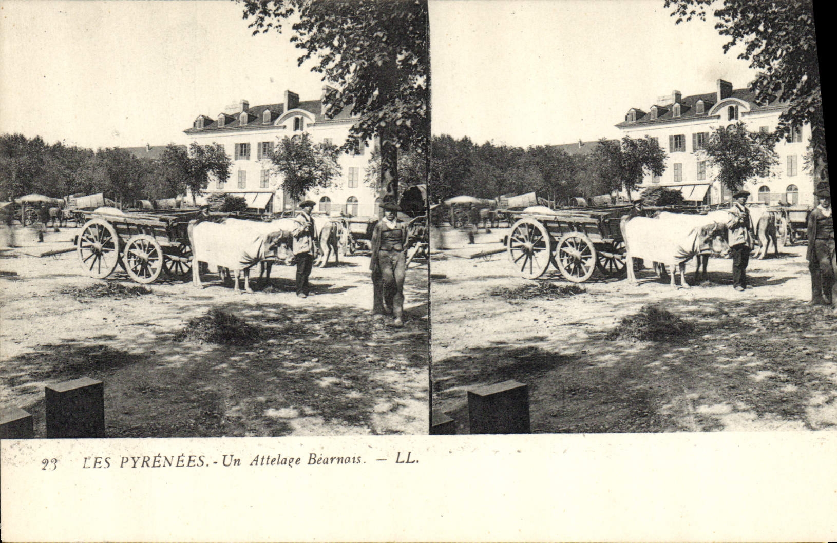 POSTAL de la VENDIMIA los Pyrenees un habitante del coche de los bueyes de Béarn