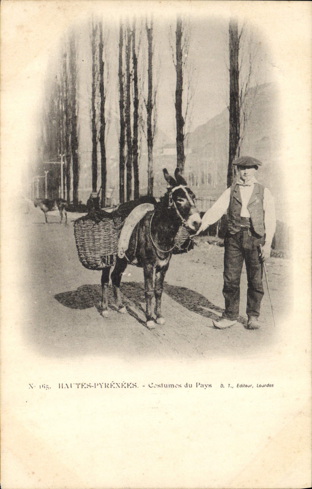 POSTAL de la VENDIMIA los trajes de Pyrenees de la mula del asno del payx