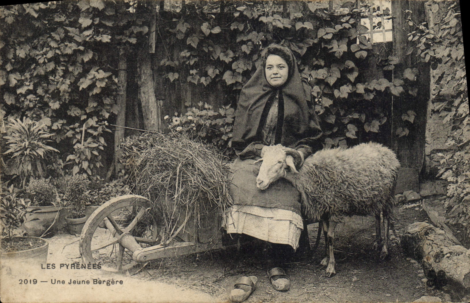 CPA Pyrenees une jeune bergere Agneau Mouton Folklore