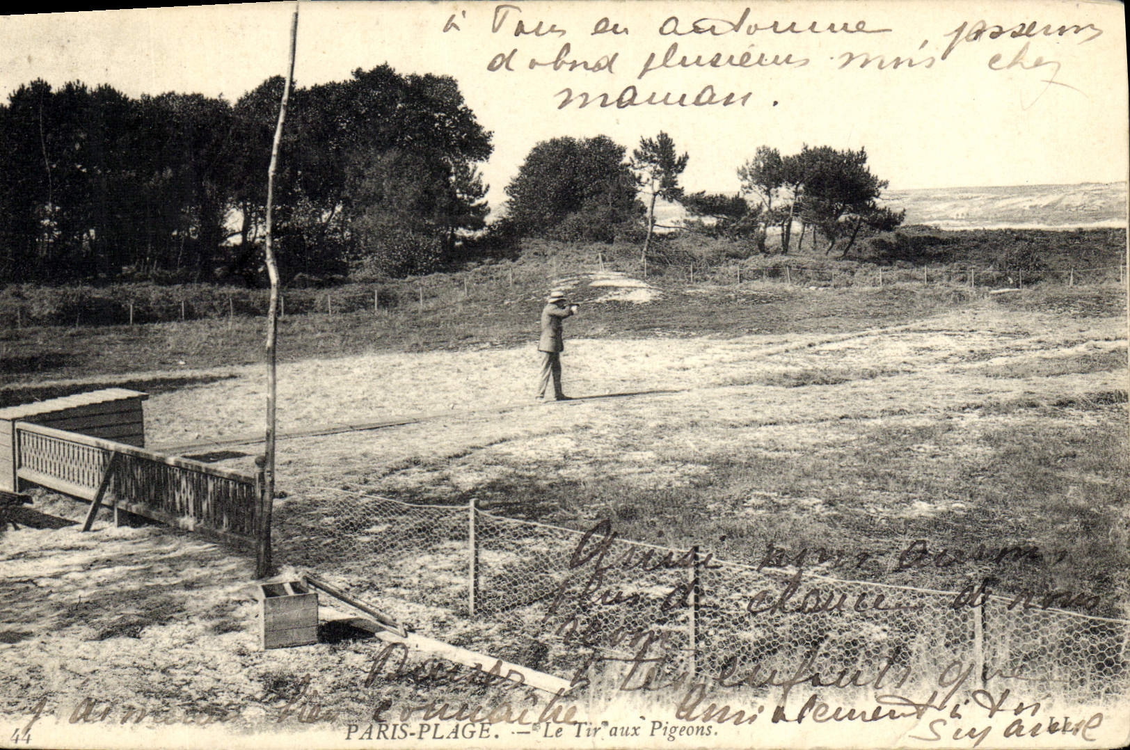 VINTAGE POSTCARD Paris Beach the shooting with the pigeons