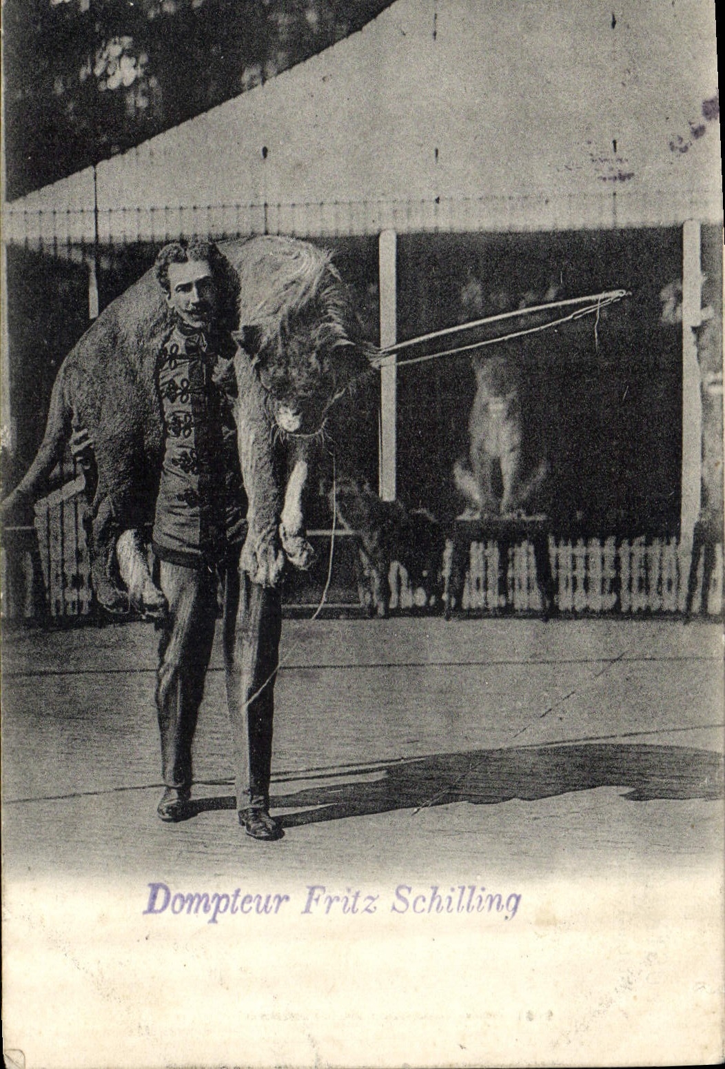 CPA Felin Lion Dompteur Fritz Schilling