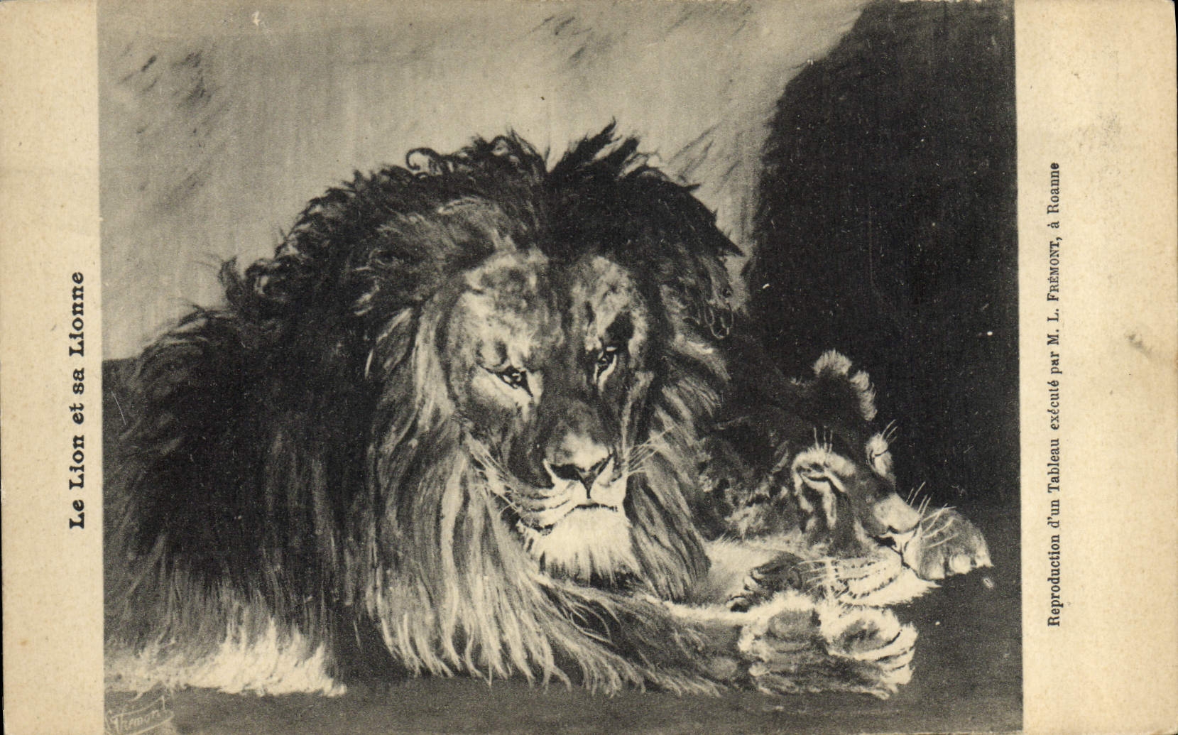 CPA Felin Lion et sa lionne 