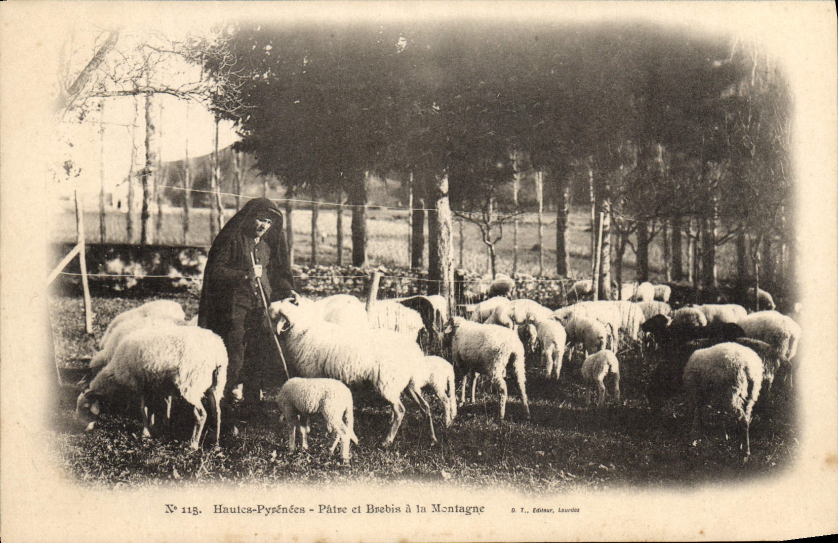 Folklore de la POSTAL de la VENDIMIA que los altos Pyrenees Shepherd y oveja con la montaña