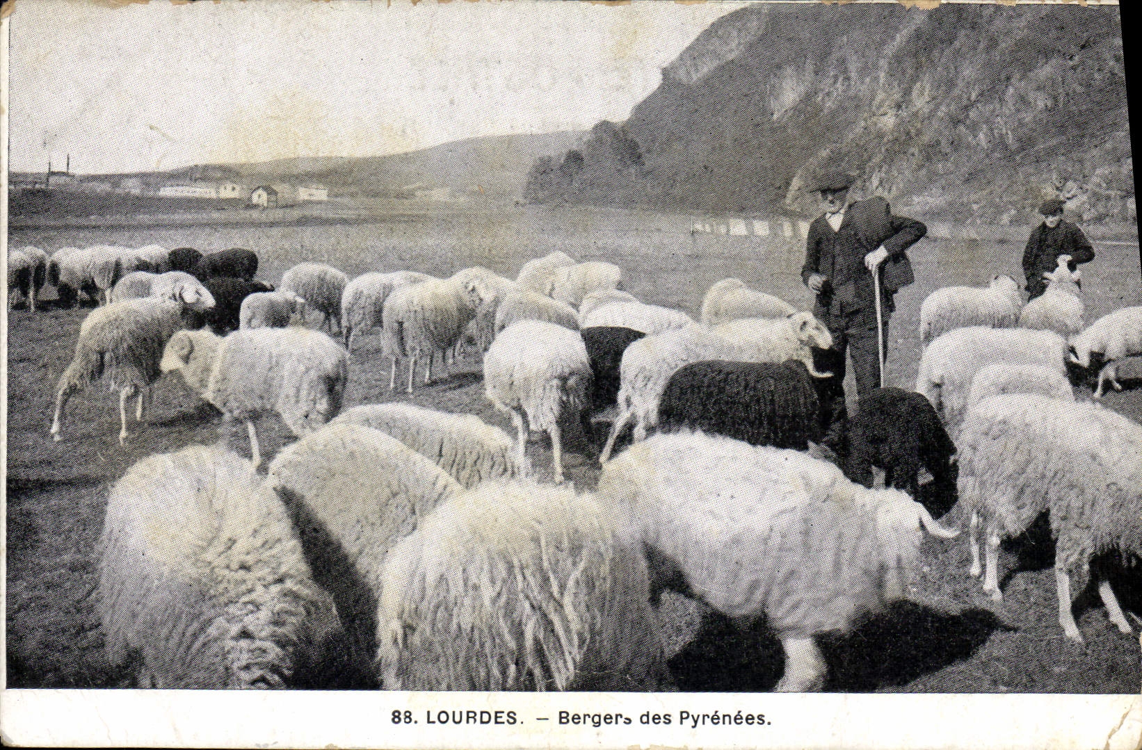 CPA Folklore Lourdes Berger des Pyrenees