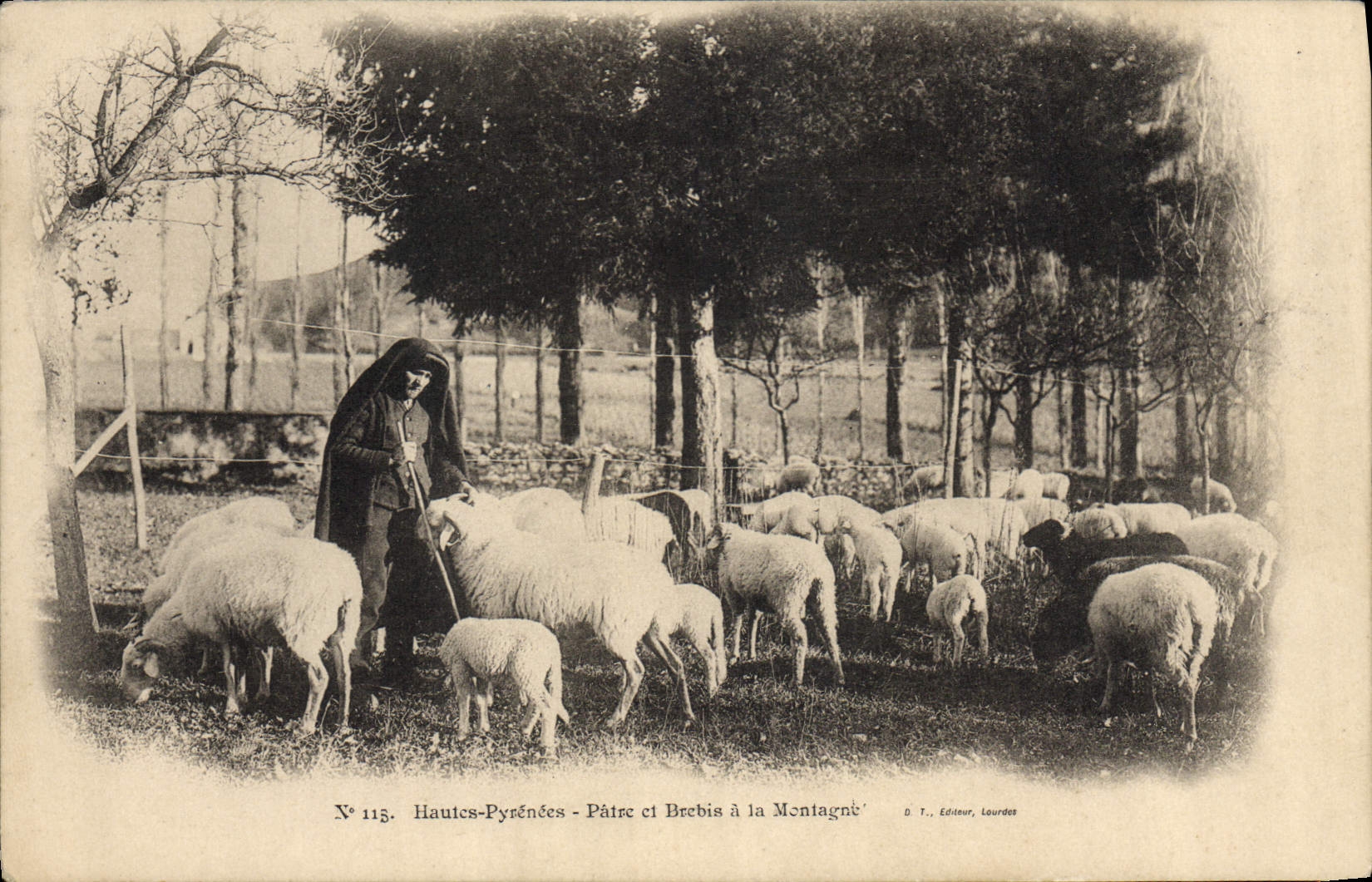 CPA Folklore Attelage Hautes Pyrenees Patre et brebis a la montagne Moutons